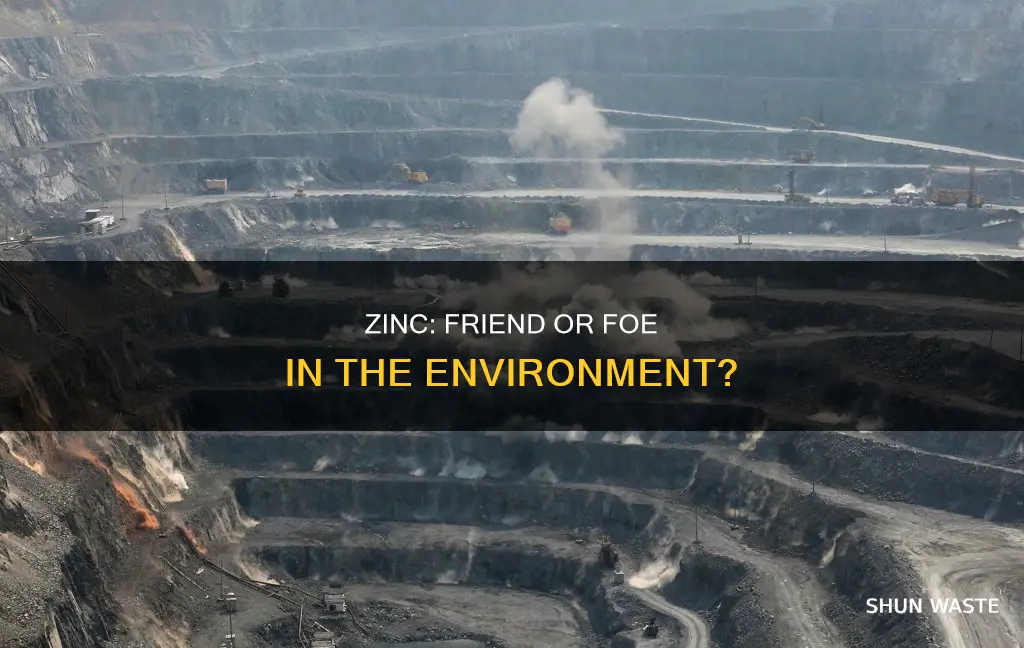 is zinc a pollutant