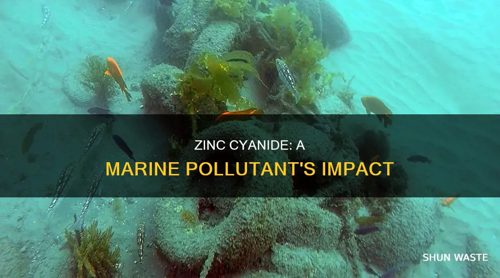 is zinc cyanide a severe marine pollutant