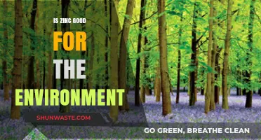 Zinc's Eco-Friendly Impact: Benefits and Environmental Sustainability Explained