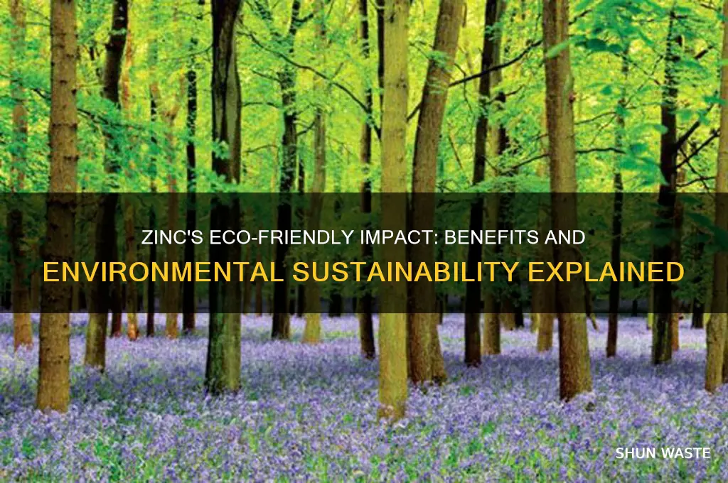 is zinc good for the environment
