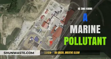 Zinc Oxide Pollution: Marine Impact and Implications