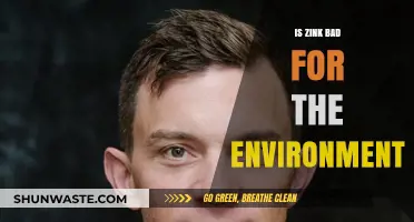 Is Zinc Harmful to the Environment? Exploring Its Ecological Impact