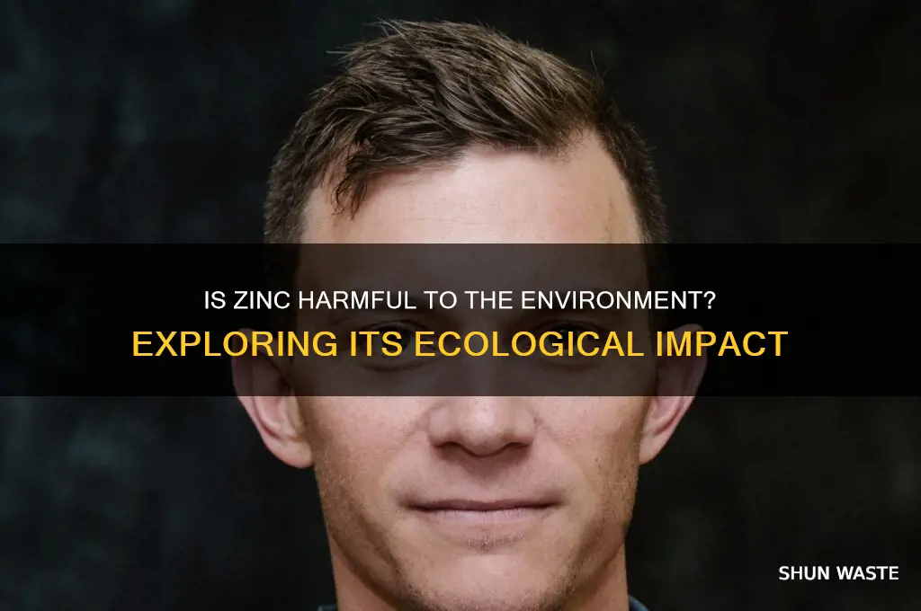 is zink bad for the environment