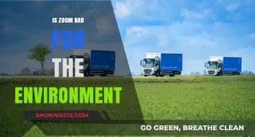 Zoom's Environmental Impact: Sustainable or Harmful for Our Planet?