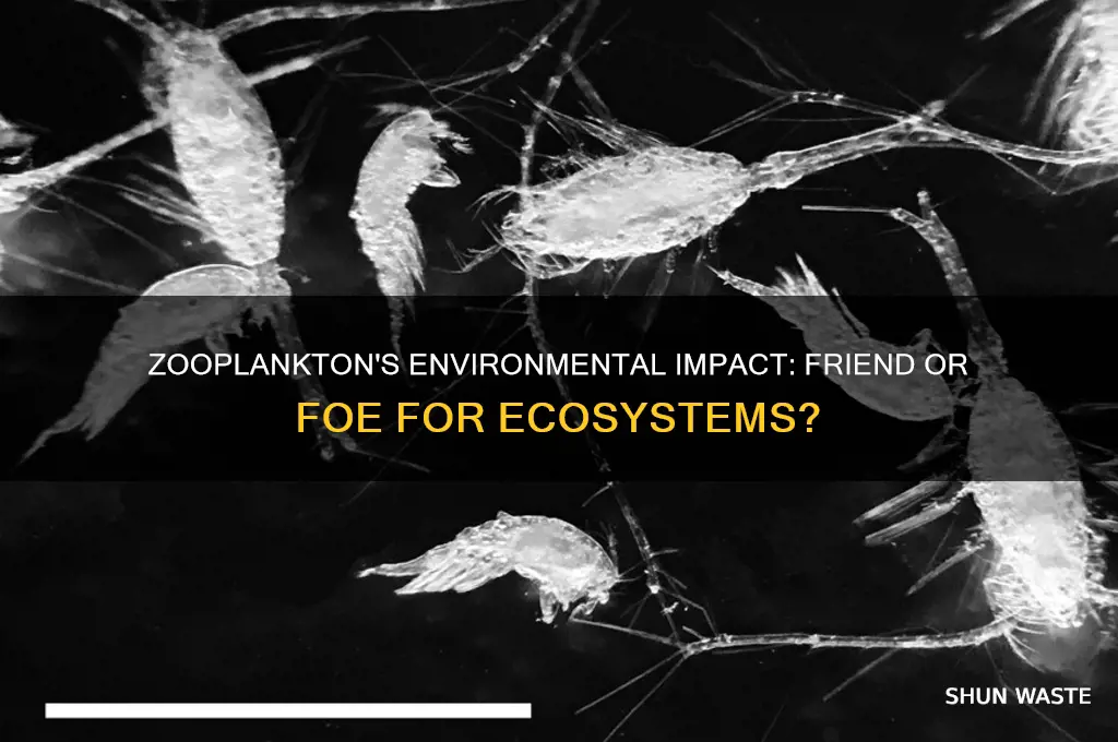 is zooplankton bad for the environment