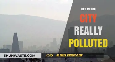 Mexico City's Pollution Problem: A Health Crisis