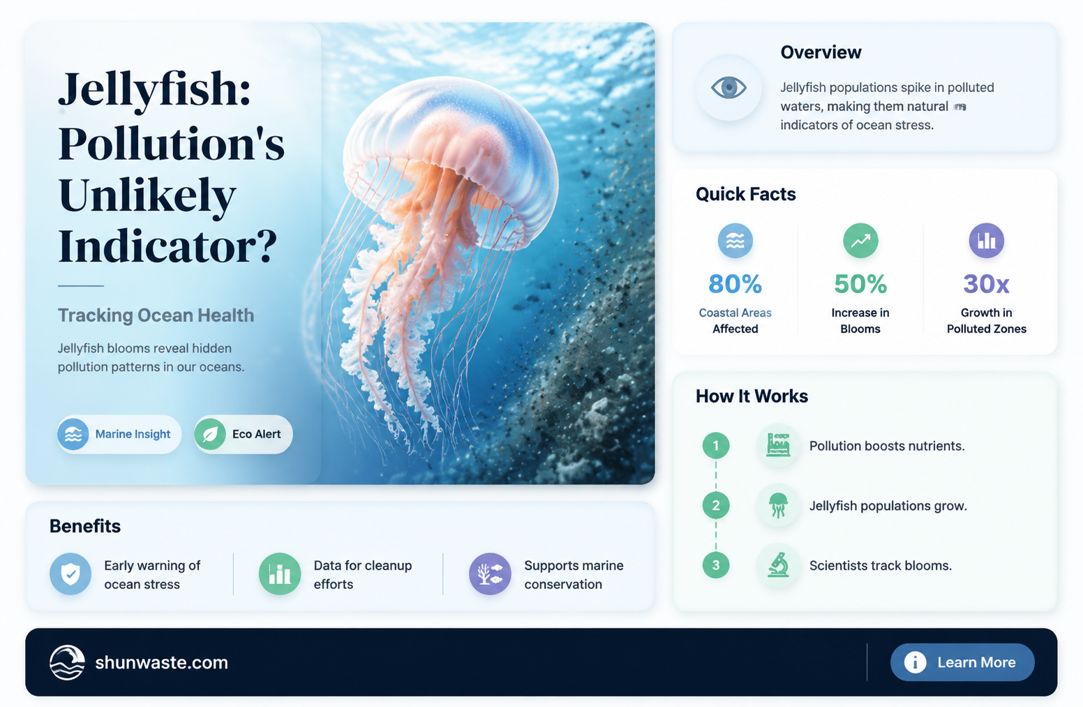 are jellyfish a sign of pollution