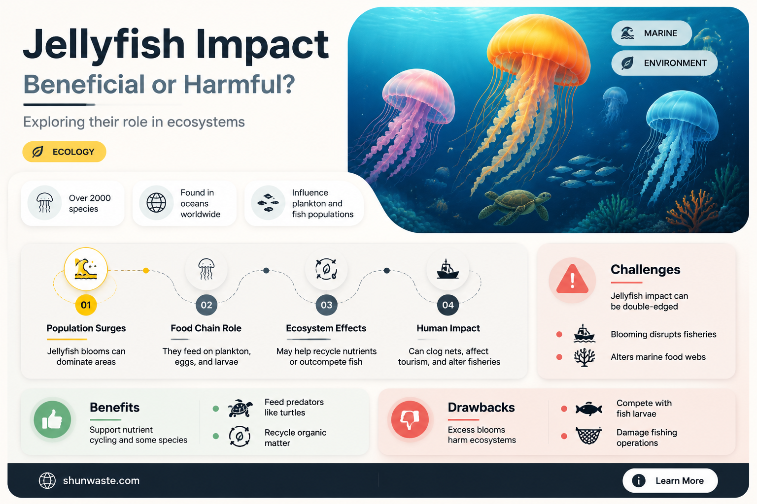 are jellyfish good for the environment