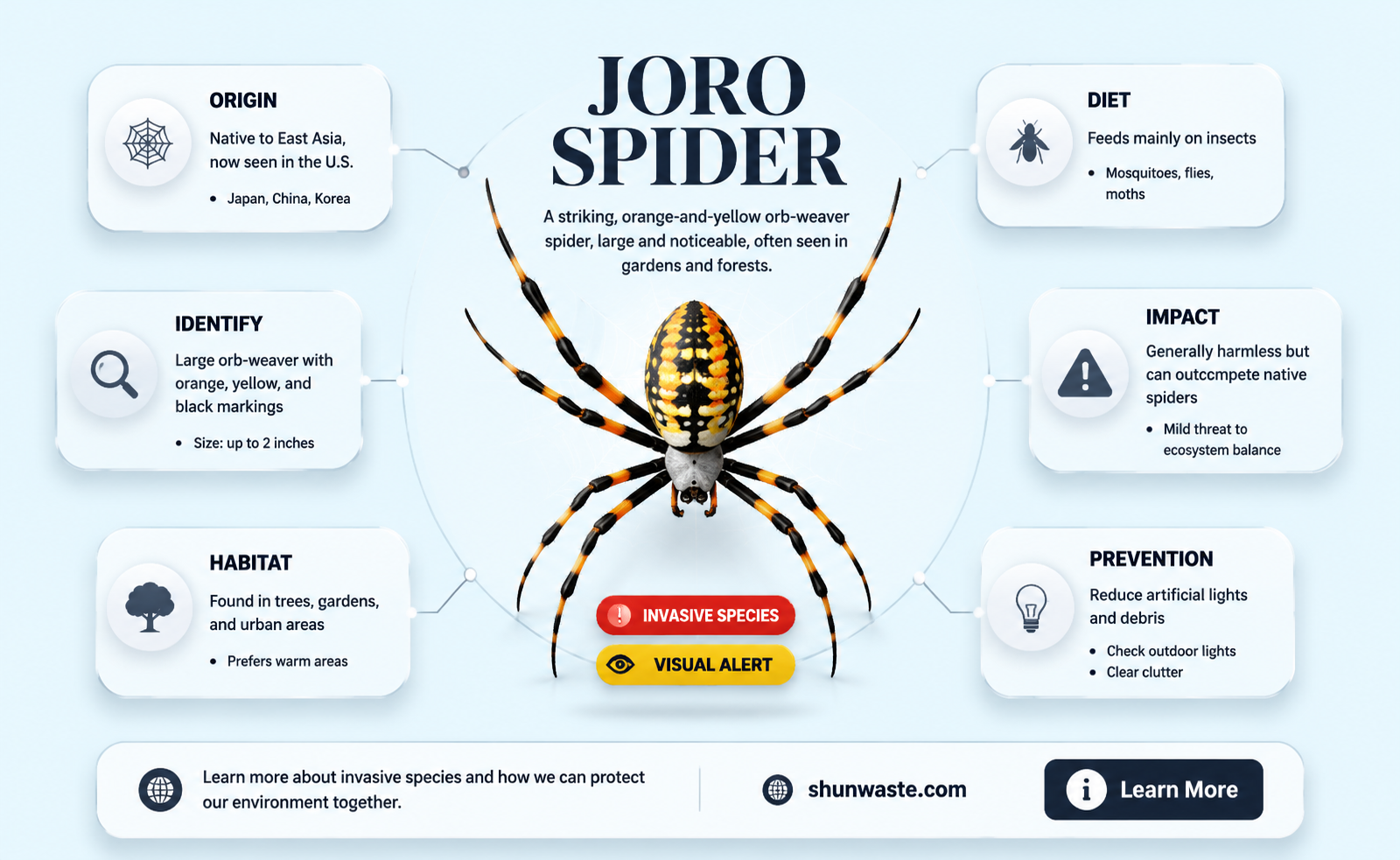 are joro spiders bad for the environment