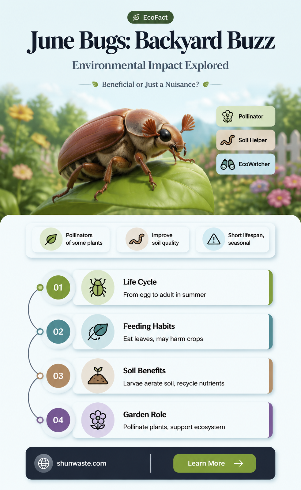 are june bugs good for the environment