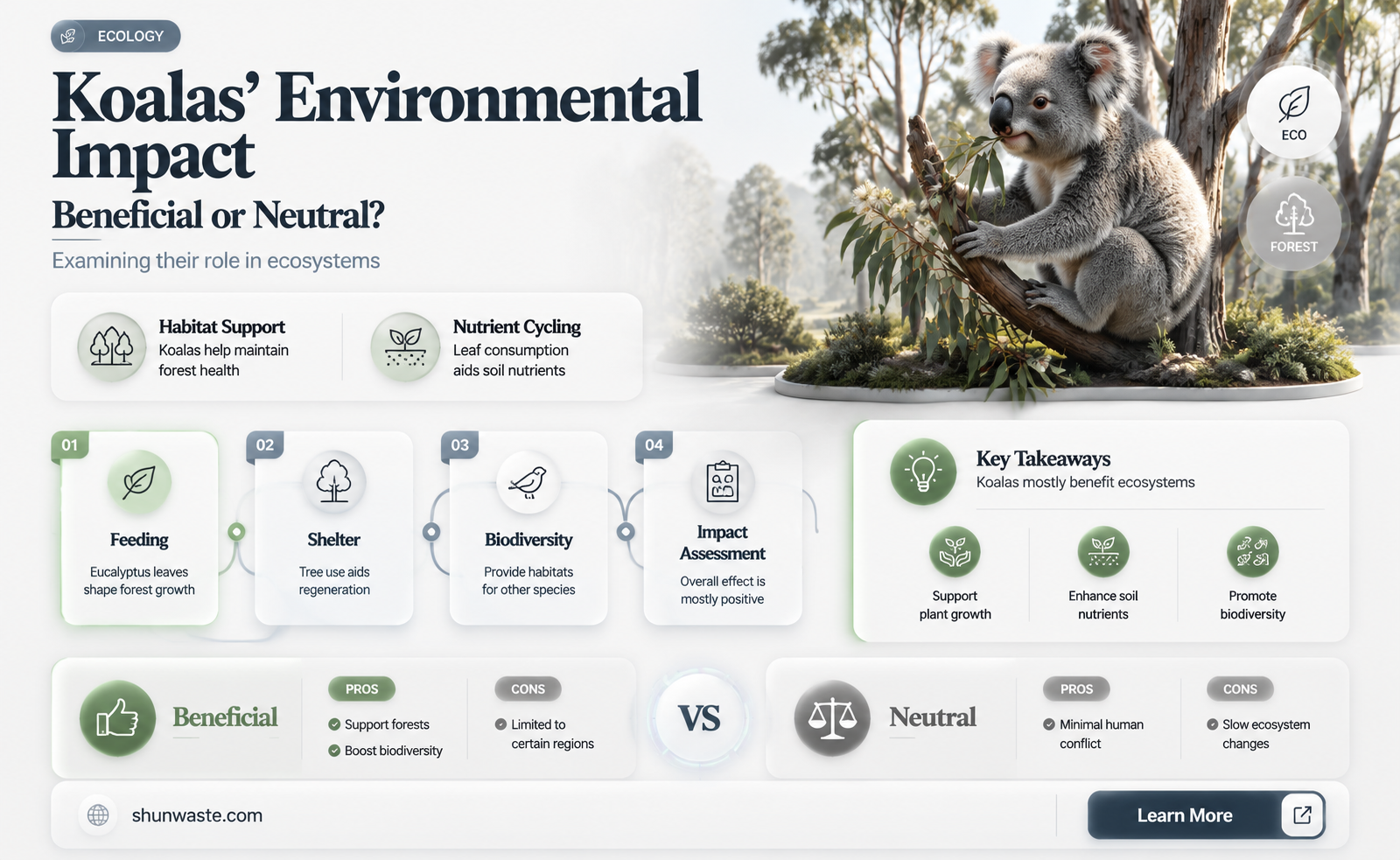 are koalas good for the environment