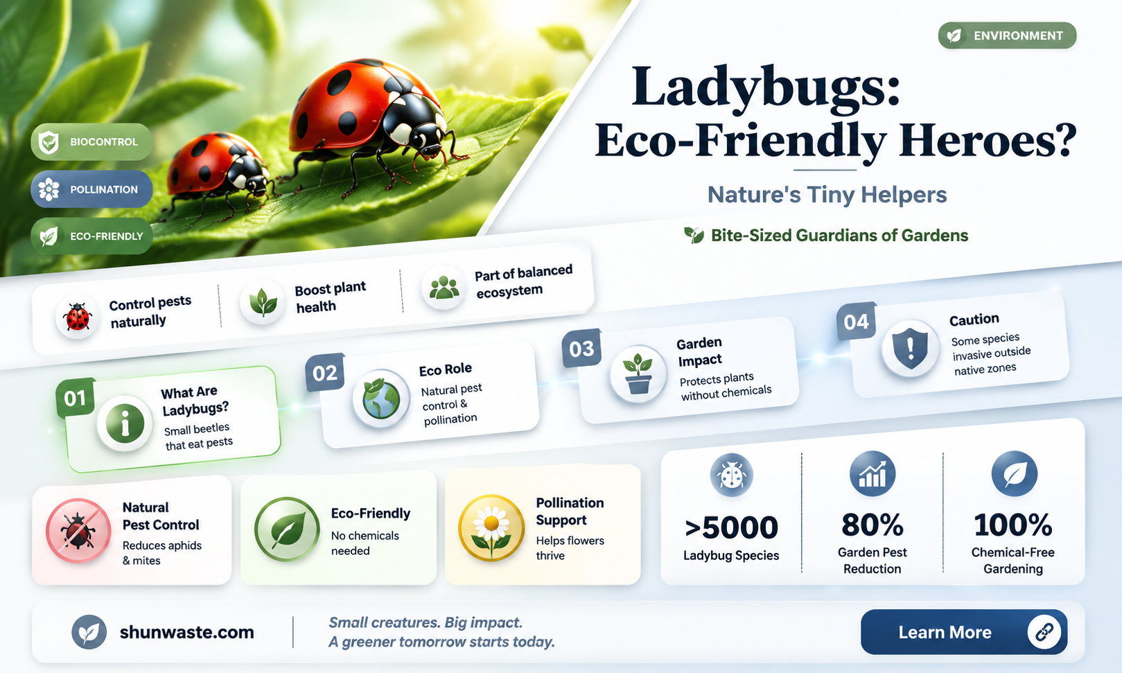 are ladybugs good for the environment