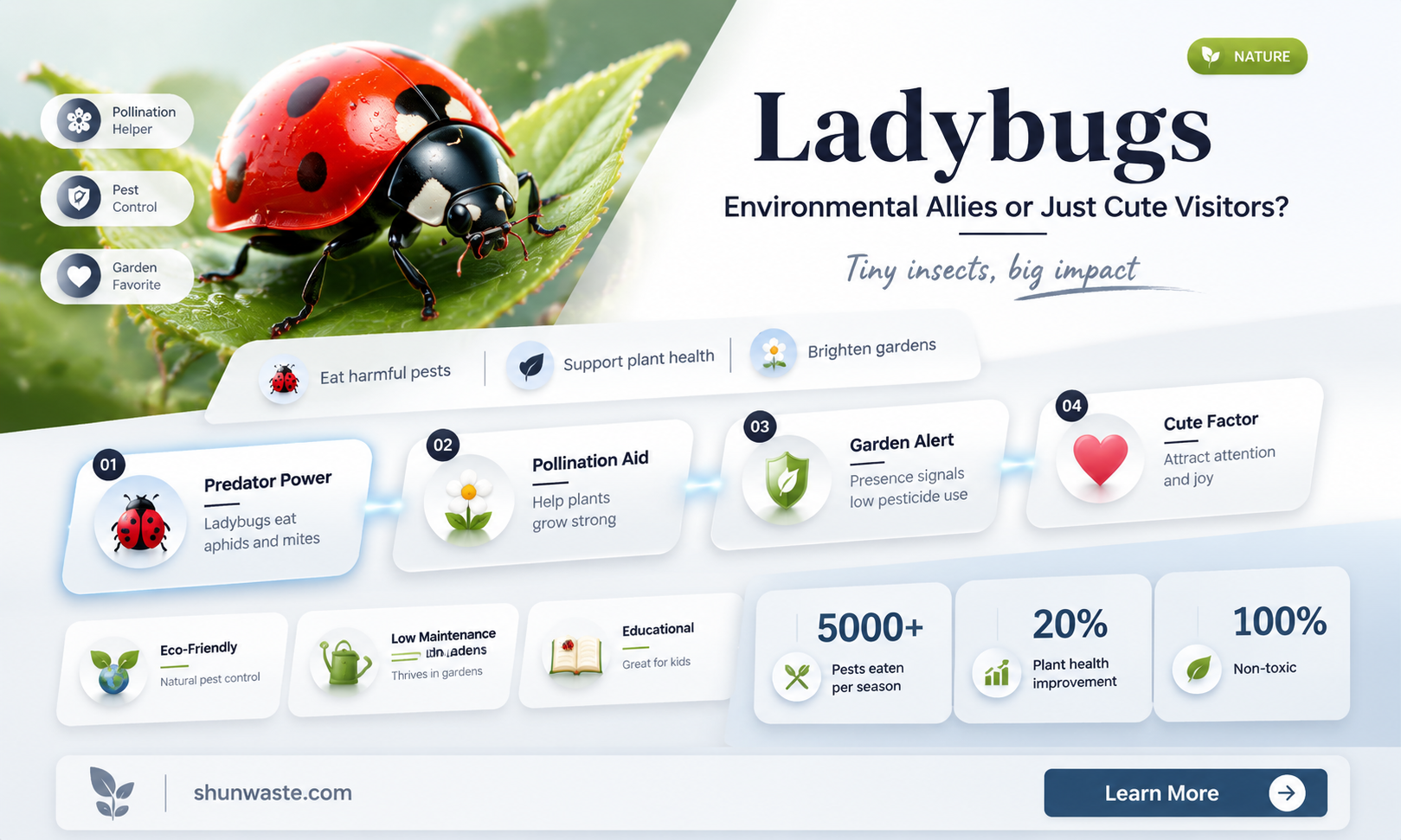 are ladybugs helpful to the environment
