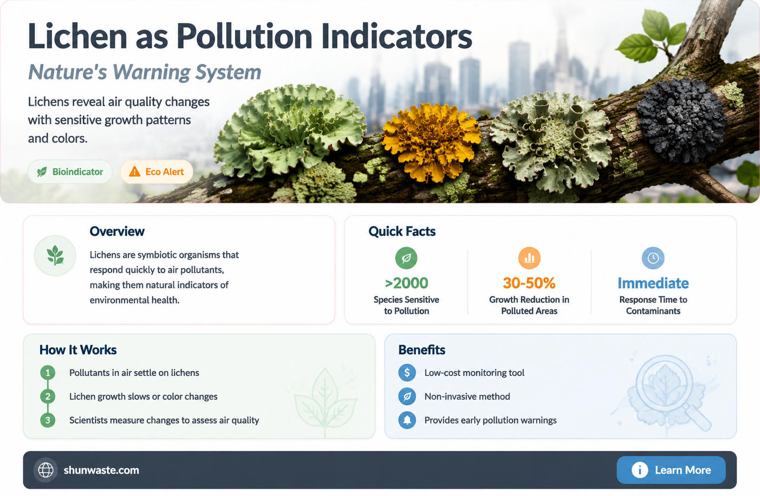 are lichens indicators of pollution