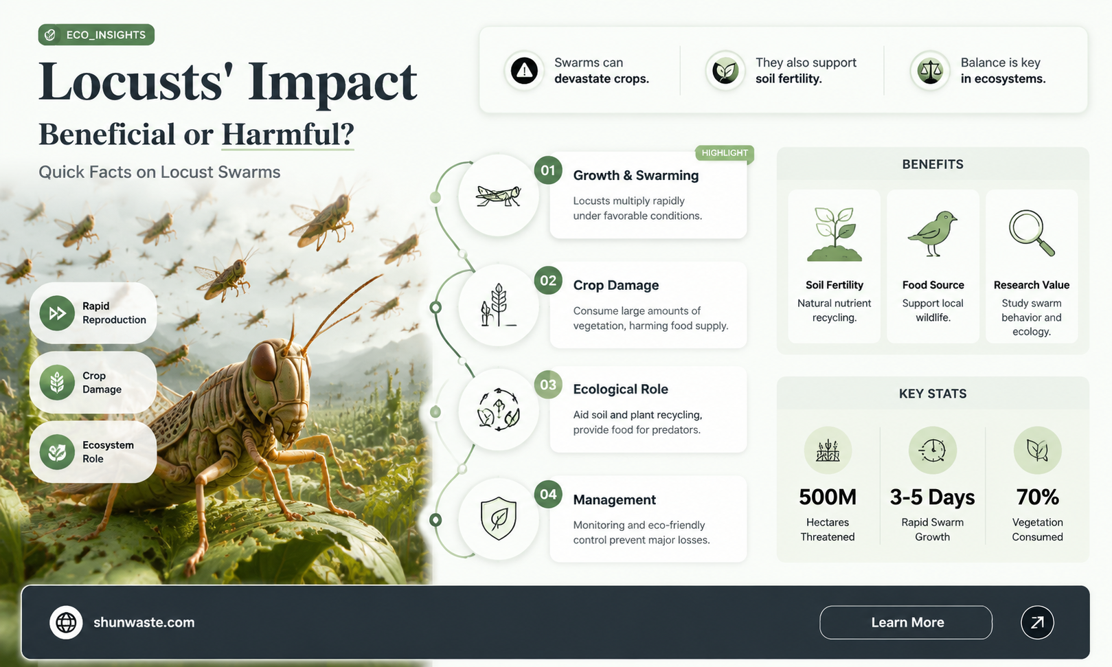 are locusts good for the environment