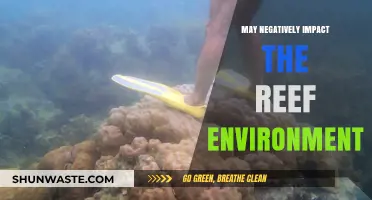 Human Activities Threatening Coral Reefs: Urgent Action Needed to Protect Ecosystems