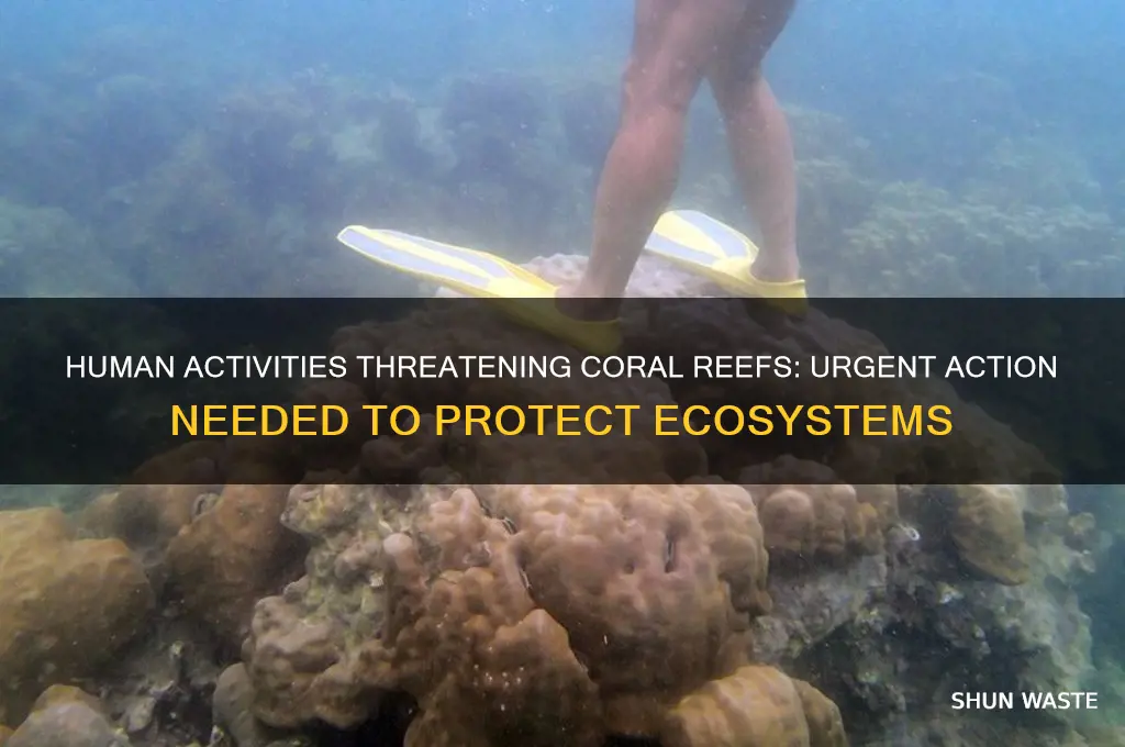 may negatively impact the reef environment