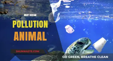 Ocean Pollution: Saving May's Marine Life