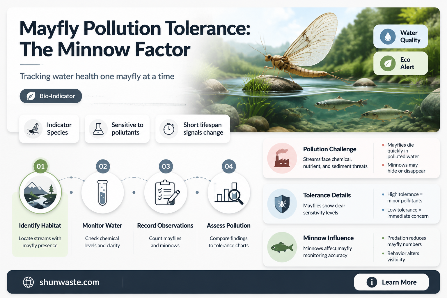 are minnow mayflies pollution tolerant