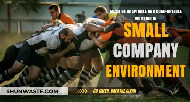 Thriving in Small Teams: Adaptability and Comfort in Compact Workplaces