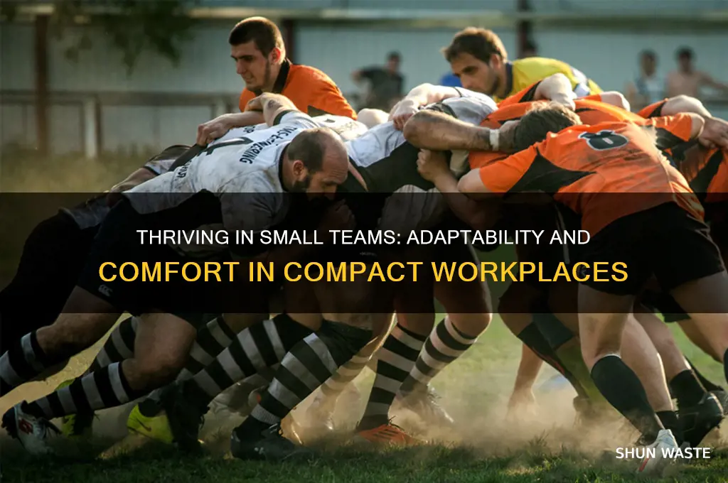 must be adaptable and comfortable working in small company environment