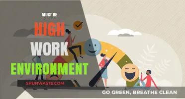 Fostering a High-Performance Work Environment: Strategies for Success and Growth