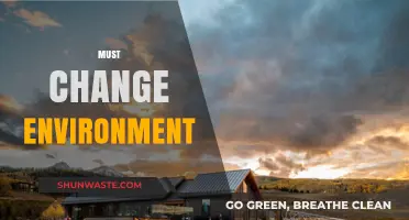 Transform Your Surroundings: Why a Must-Change Environment is Essential