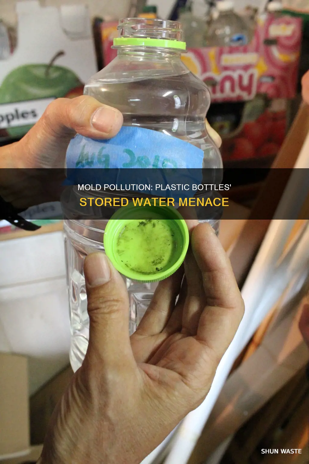 must mold pollution in stored water in plastic bottles