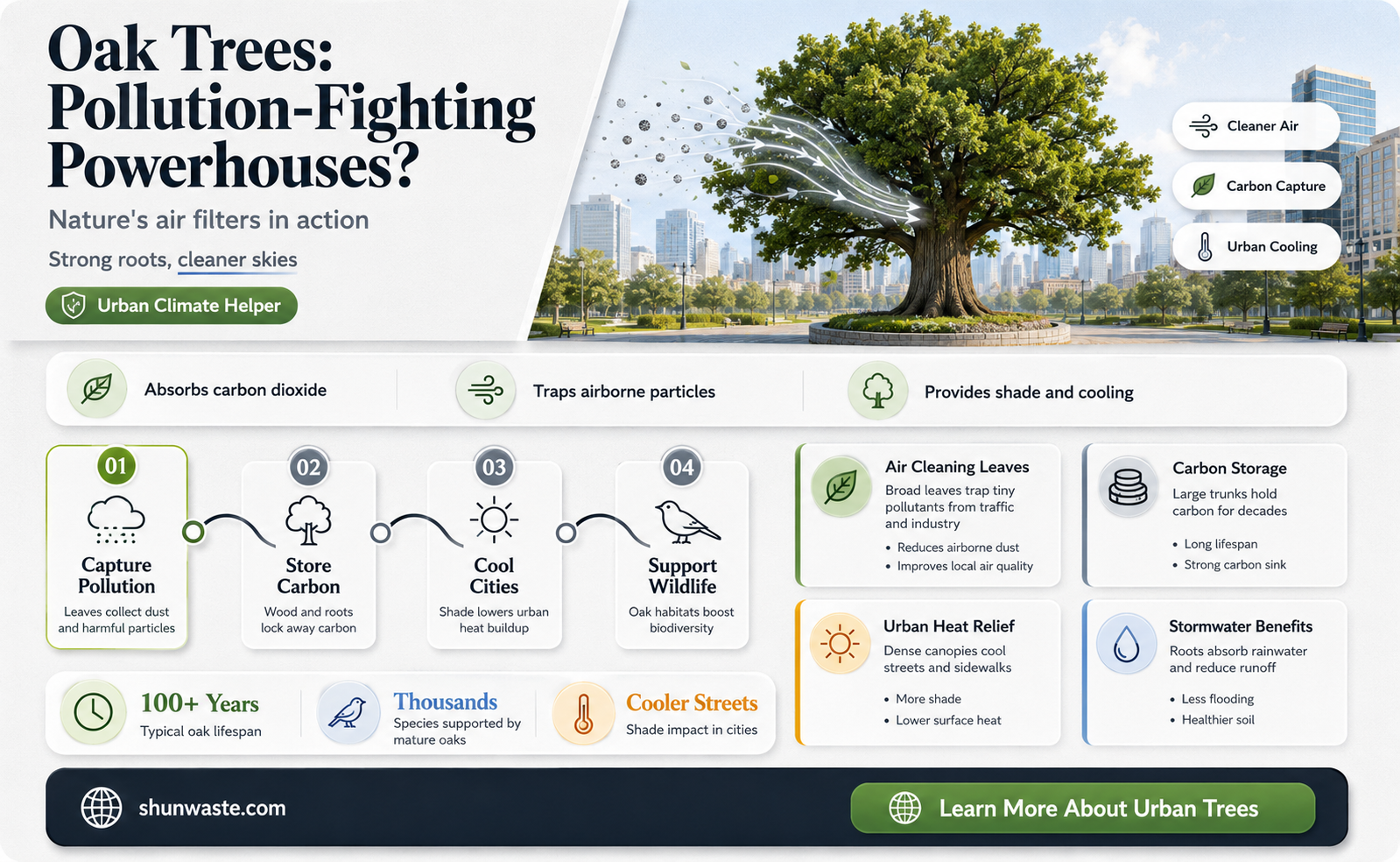 are oak trees the best tree to remove pollution