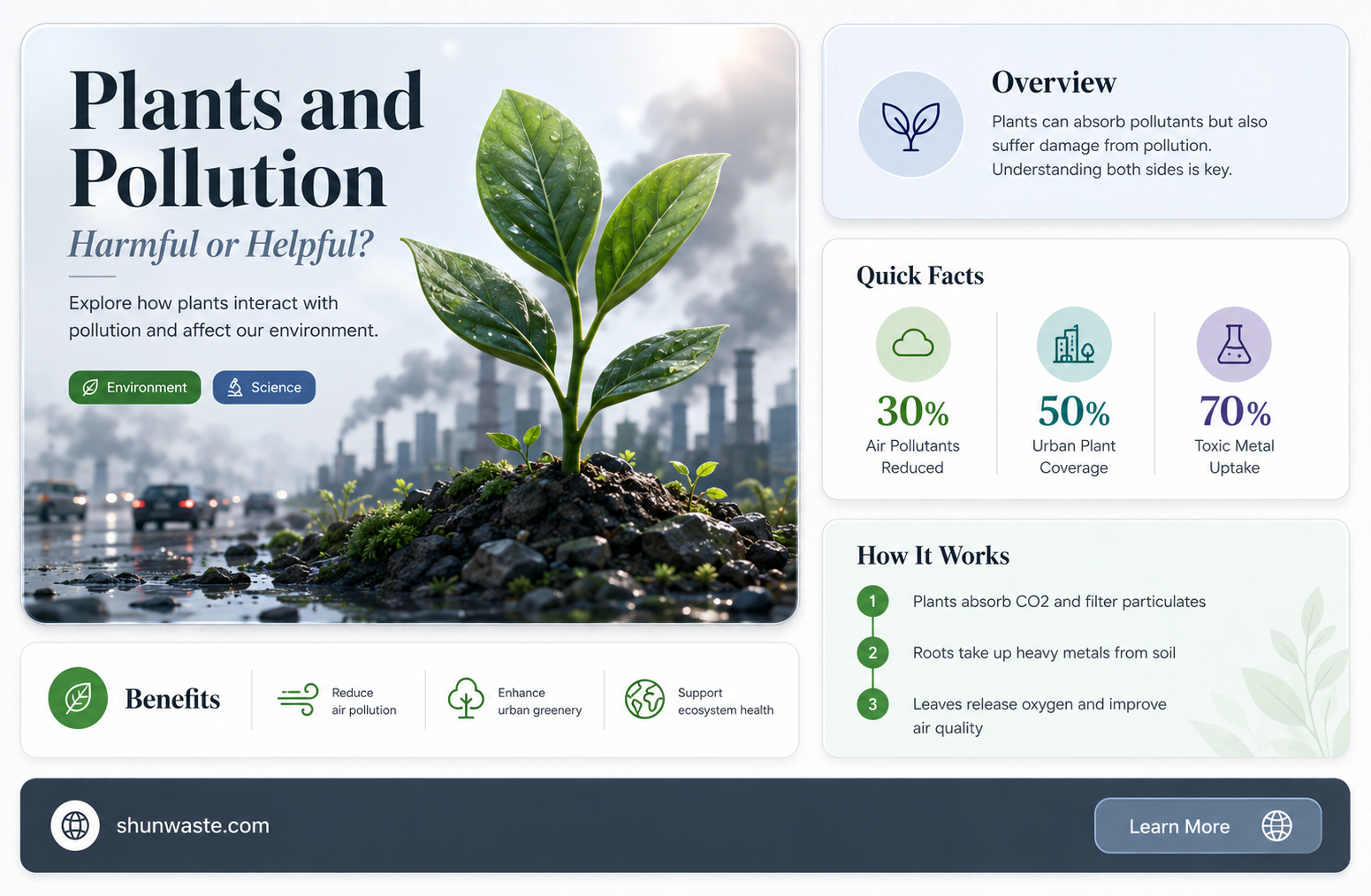 are plants affected by pollution