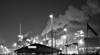 pollution affect