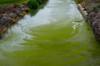 pollution contamination