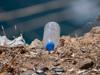 pollution contamination