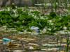 pollution contamination
