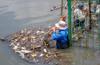 pollution contamination