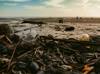 pollution contamination