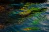 pollution water