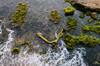 pollution water