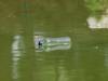 pollution water