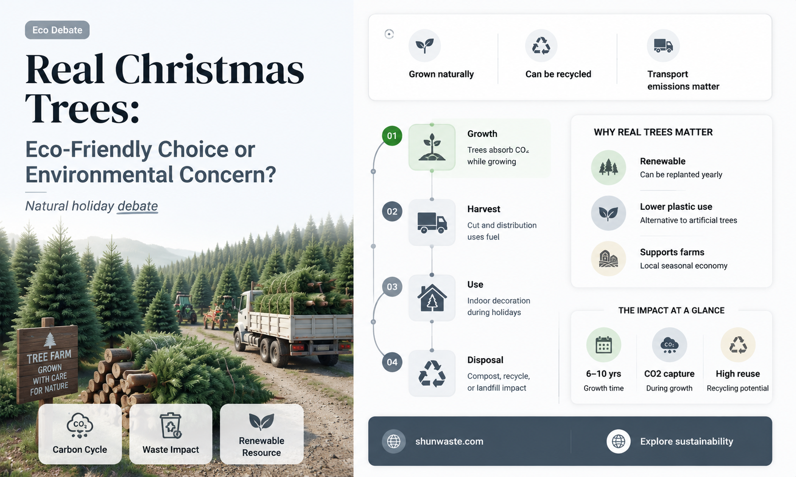 are real christmas trees bad for environment