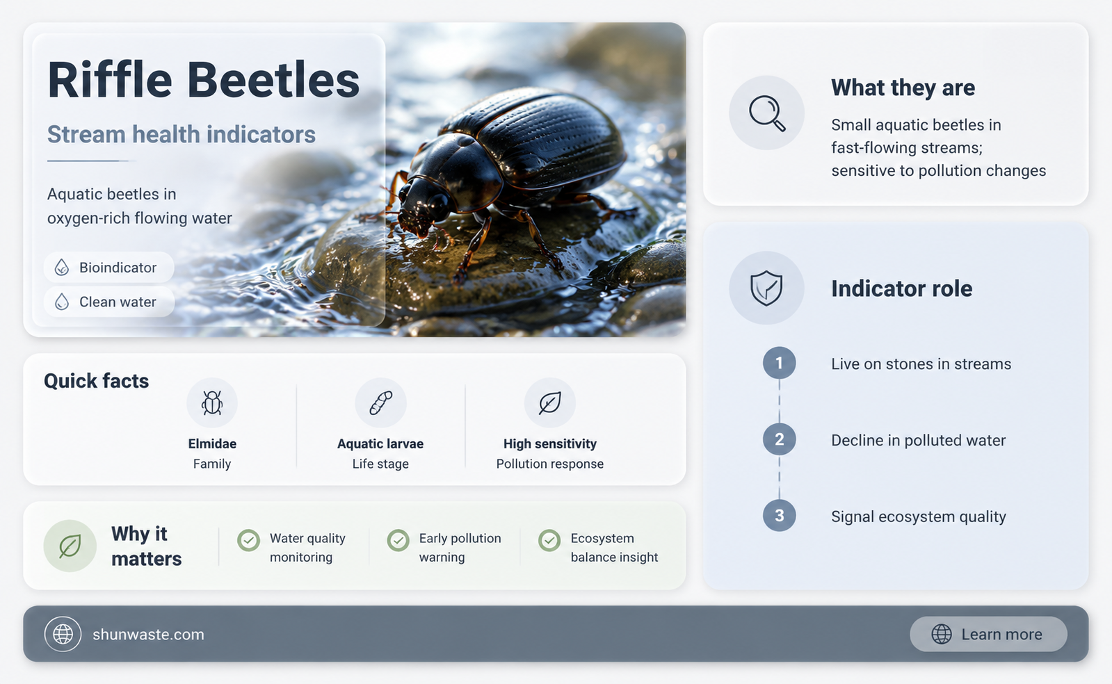 are riffle beetles good against pollution