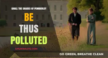 The Pemberley Scandal: Shades of Intrigue and Corruption