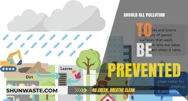 Preventing Pollution: Can We Achieve a Green Future?