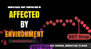 Environmental Factors and Their Impact on Basal Body Temperature