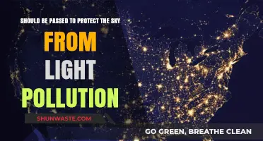 Protecting the Night Sky: Reducing Light Pollution