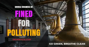 Pollution Fines: Should Businesses Pay for Their Environmental Damage?
