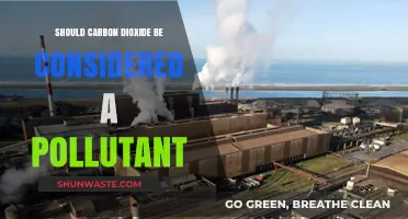 Carbon Dioxide: Pollutant or Not?