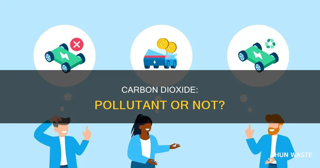 should carbon dioxide be considered a pollutant