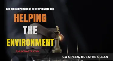 Corporate Environmental Responsibility: Obligation or Opportunity for Businesses?