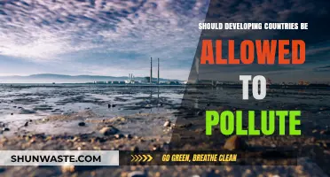 Developing Nations: Pollute to Develop?